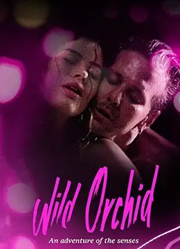 春山可望治愈系电视剧